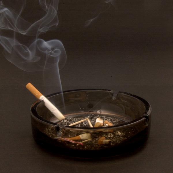 Родившиеся после 2015 года курить не будут? Родившиеся после 2015 года курить не будут?