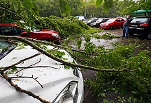 Число жертв урагана в Москве выросло до восьми человек
