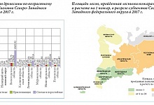 Леса Коми больше всего пострадали от пожаров на Северо-Западе
