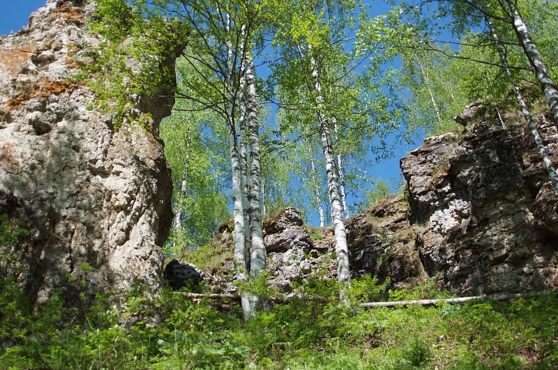 Коралловые рифы в опасности Коралловые рифы в опасности