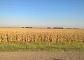 Осень на Кубани