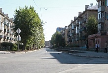 В Ухте неизвестные умышленно задавили чужую собаку