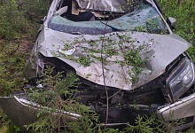 В Корткеросском районе под колеса автомобиля Lada XRAY попал лось