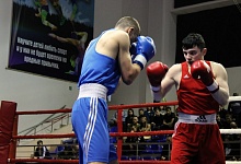 В Ухте завершился Чемпионат СЗФО России по боксу