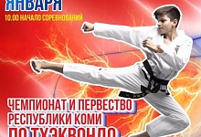 Чемпионат и первенство региона по тхэквондо соберут около ста спортсменов