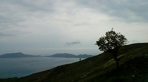 ОДА РАДОСТИ...