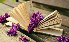 Книжные выставки. Центральная детская библиотека им. А.П. Гайдара Книжные выставки. Центральная детская библиотека им. А.П. Гайдара