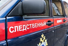 СК подтвердил факт обнаружения тела убитой Анастасии Щетининой