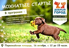 Мохнатые старты Мохнатые старты