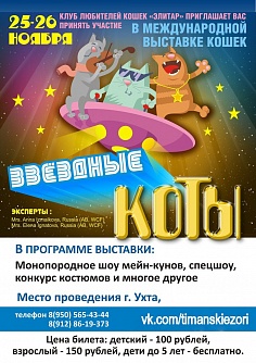 «Тиманские зори. Звездные коты. Ухта - 2017» «Тиманские зори. Звездные коты. Ухта - 2017»