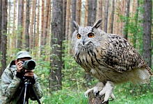 В Коми объявлен сезон фотоохоты