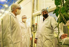 Сергей Усачёв: «Тепличный комплекс в Сосногорске нуждается в государственной поддержке»