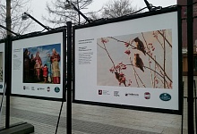 Фотографии из Коми представят в "Эрмитаже"