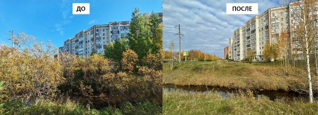АО «Транснефть – Север» очистило берег реки Чибью от кустарников