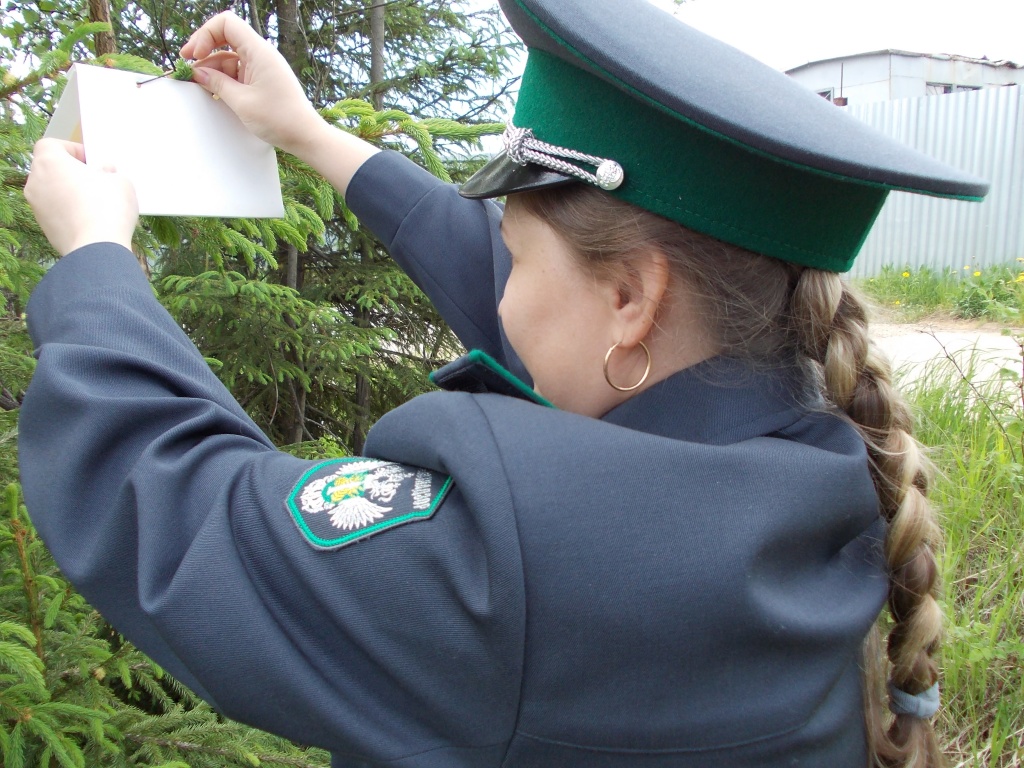 dscn0422.jpg