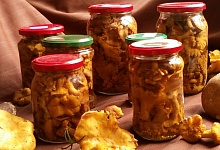 "Сонечке лисички"