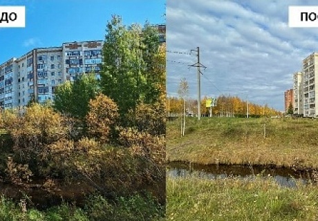 АО «Транснефть – Север» очистило берег реки Чибью от кустарников