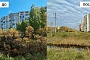 АО «Транснефть – Север» очистило берег реки Чибью от кустарников