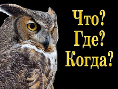 Что? Где? Когда?