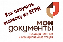 Выписка из ЕГРН без пошлины