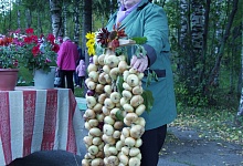 Удачный фестиваль