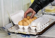 Предприниматель из Ухты восстановил Котласскую птицефабрику